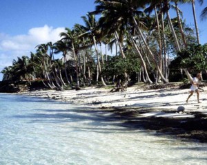 tropical beach
