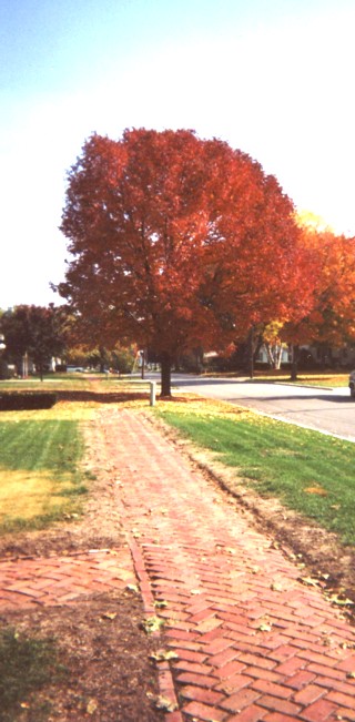 brick sidewalk