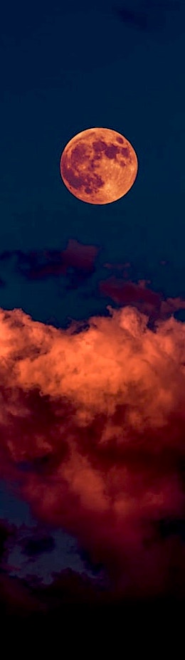 feeling-disconnected-curable