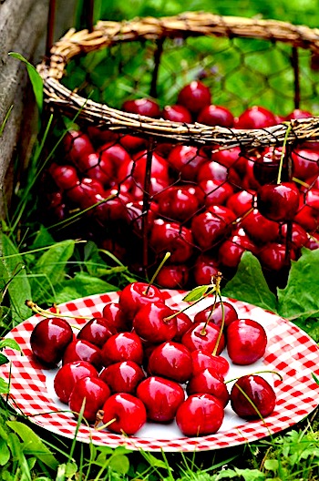 optimism-quotes-cherries